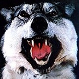 Avatar du membre